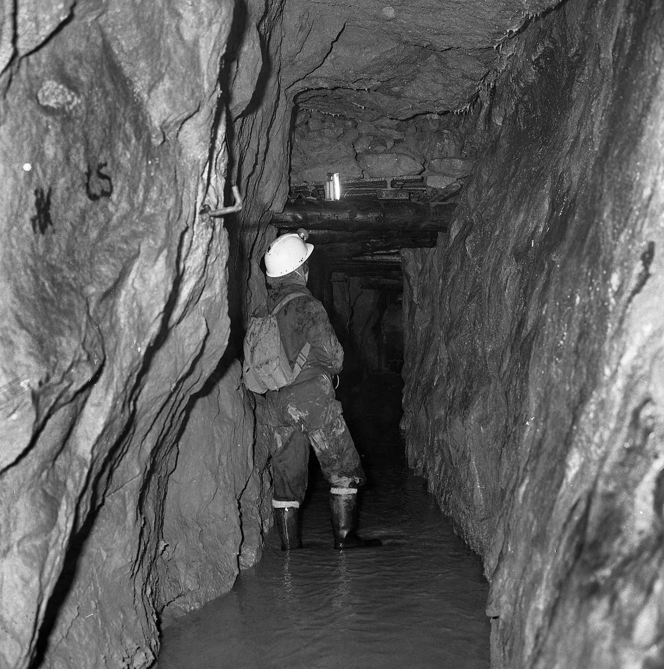 Gillfield Level 1968 e